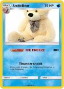 ArcticBear