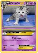 Cute Cat