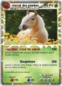 cheval des plan
