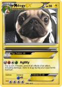 dogy