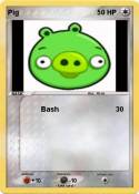Pig