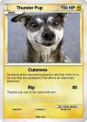 Thunder Pup