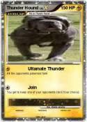 Thunder Hound