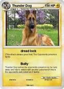 Thunder Dog