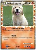 Golden Retrieve