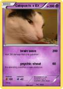 Catopus lv. x