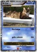 le chat