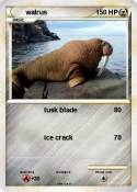 walrus