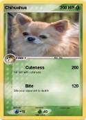Chihuahua