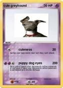 cute greyhound