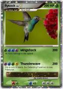 flysock