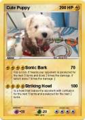 Cute Puppy