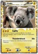 Koala