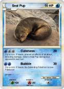 Seal Pup