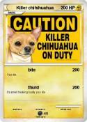 Killer chihihua