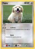 Puppy