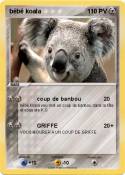 bébé koala