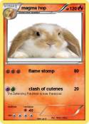 magma hop