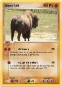 bison futé