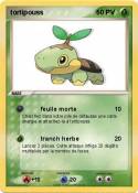 tortipouss