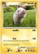 Pig