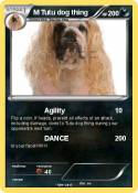M Tutu dog thin