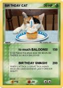 BIRTHDAY CAT
