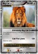Big Cat