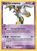 Silver the hedg