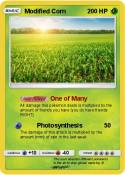 Modified Corn