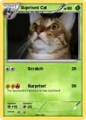Suprised Cat
