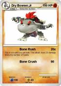 Dry Bowser.Jr