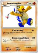 Boomerang Bro