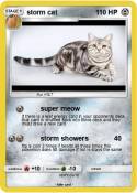 storm cat