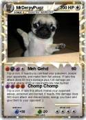 MrDerpyPugz