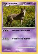 dogo canario