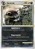Raraccon