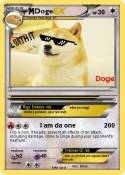 Doge