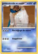 goldendoodle en