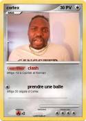 cortex