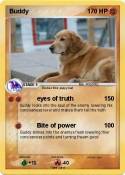 Buddy