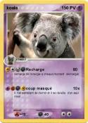 koala