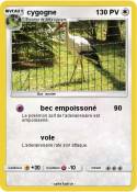 cygogne
