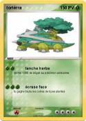 tortérra