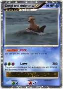 Corgi and