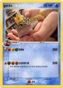 gecko