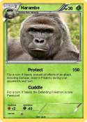 Harambe