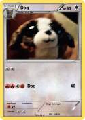 Dog