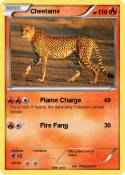 Cheetame