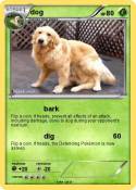 dog